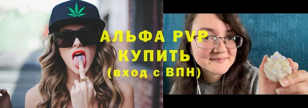 твердый Арсеньев