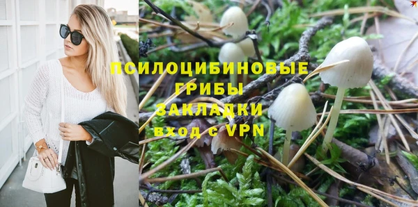 твердый Арсеньев