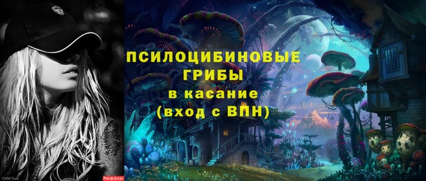 твердый Арсеньев
