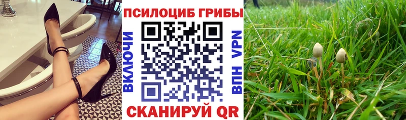 Псилоцибиновые грибы прущие грибы как найти закладки Макушино